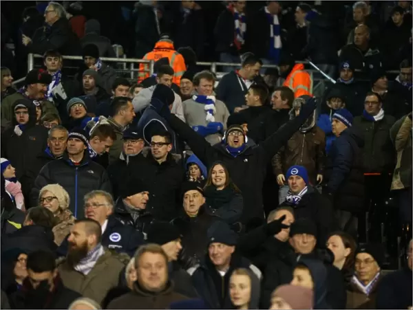 Brighton and Hove Albion Fans Passionate Roar at Fulham Championship Match, December 2014