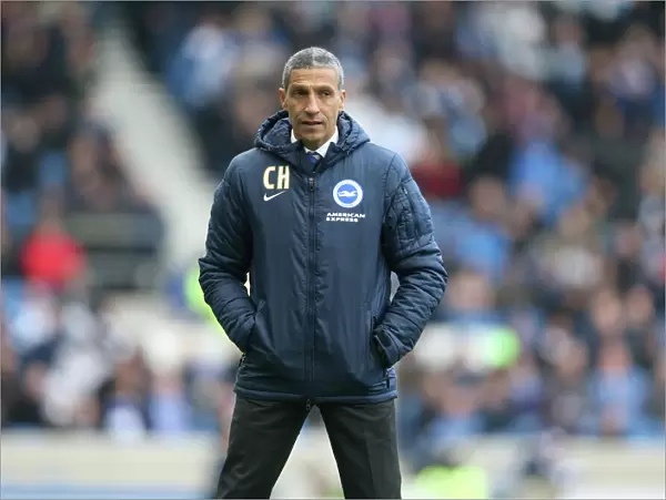 Brighton and Hove Albion v Wolverhampton Wanderers