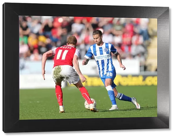 Joe Bennett in Action: Rotherham United vs. Brighton and Hove Albion, Sky Bet Championship 2015