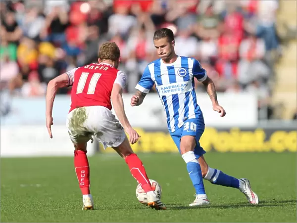 Joe Bennett in Action: Rotherham United vs. Brighton and Hove Albion, Sky Bet Championship 2015