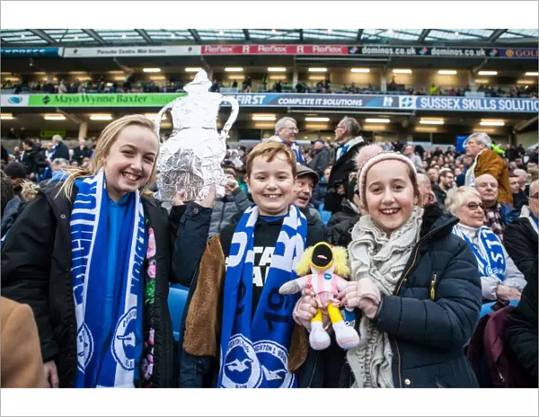 Brighton and Hove Albion FA Cup Fans Cheering during Third Round Match vs. Milton Keynes Dons (07JAN17)
