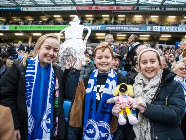 Brighton and Hove Albion FA Cup Fans Cheering during Third Round Match vs. Milton Keynes Dons (07JAN17)