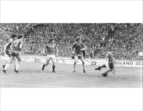 Brighton & Hove Albion's Triumph at the 1983 FA Cup Final