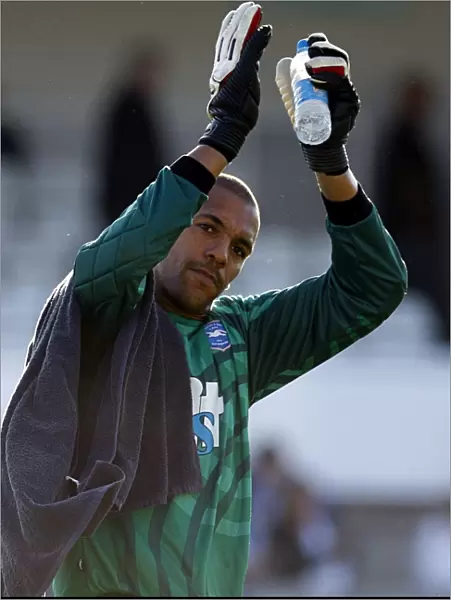 Michel Kuipers: Brighton and Hove Albion's Formidable Goalkeeper