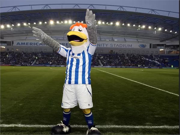 Gully, Sammy, and Sally: The Brighton and Hove Albion Trio