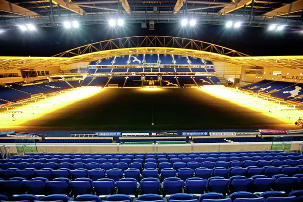 Brighton & Hove Albion: The Amex Stadium