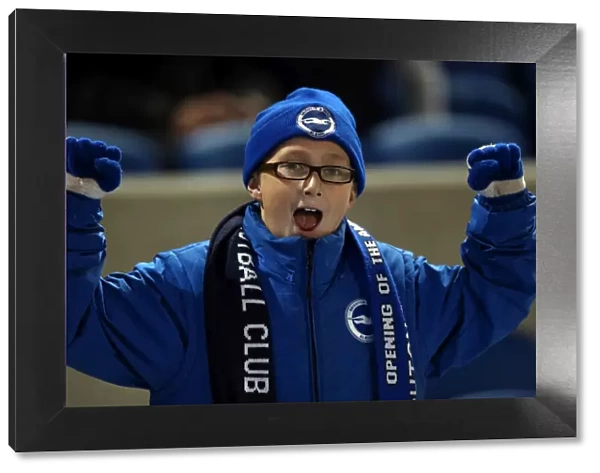 Electric Atmosphere: Unforgettable Crowd Moments at Brighton & Hove Albion's Amex Stadium (2012-13)