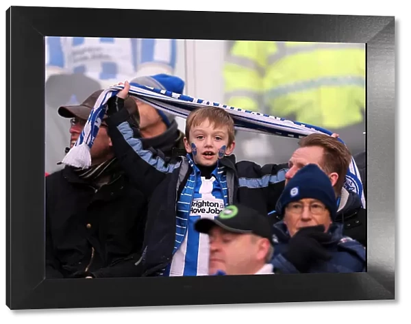 Brighton & Hove Albion FC: Electric Atmosphere at the Amex (2012-2013)