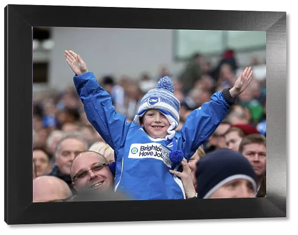 The Electric Atmosphere of Amex Stadium: Brighton & Hove Albion FC Crowd Shots (2012-2013)