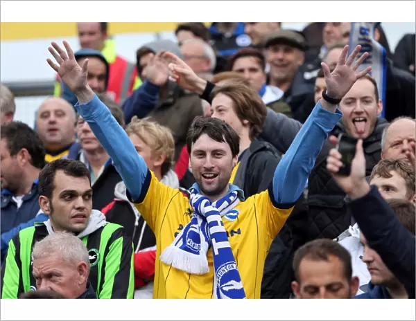 Brighton and Hove Albion Away Days 2013-14: Yeovil Town - Fan Crowd Photos