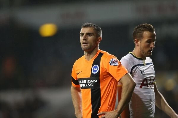 Aaron Hughes in Action: Tottenham vs. Brighton & Hove Albion in the Capital One Cup