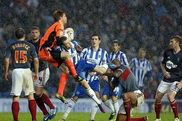 Barnes vs. Bogdan: A Fierce Encounter between Brighton & Hove Albion and Bolton Wanderers - November 2012