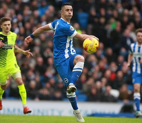 Beram Kayal in Action: Brighton & Hove Albion vs. Huddersfield Town, Sky Bet Championship (23rd January 2016)