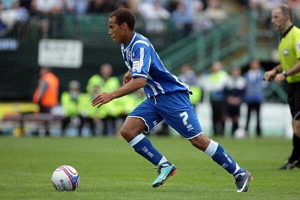 Brighton & Hove Albion: 2010-11 Home Games - Walsall