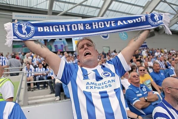 Brighton & Hove Albion 2014-15: Home Game vs. Sheffield Wednesday (September 8, 2014)