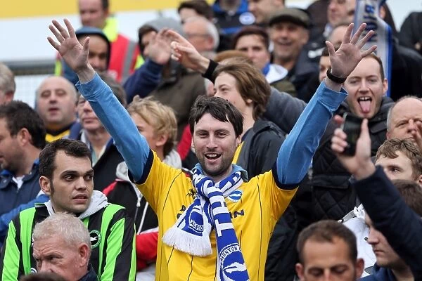 Brighton and Hove Albion Away Days 2013-14: Yeovil Town - Fan Crowd Photos