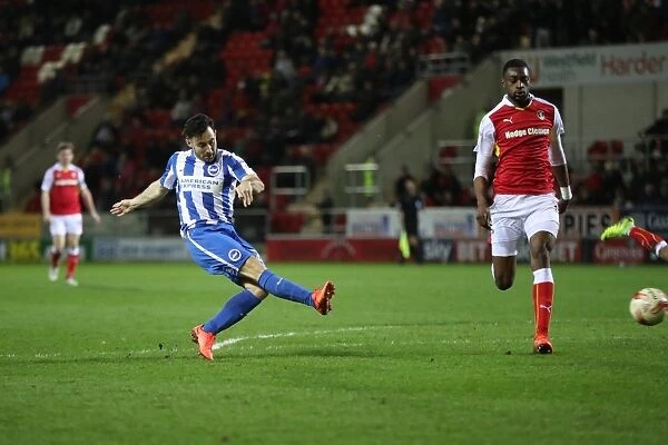 Brighton and Hove Albion Clinch Championship Victory over Rotherham United (07MAR17)