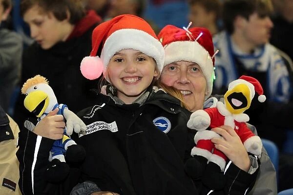 Brighton And Hove Albion Crowd Shots: Crowd Shots at the Amex 2012-13