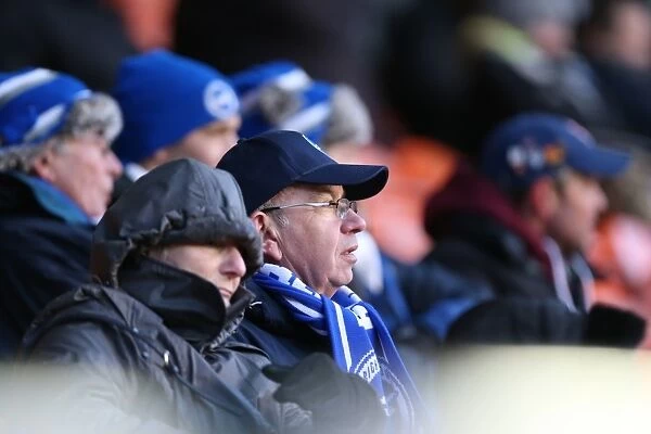 Brighton and Hove Albion Fans in Action at Blackpool's Bloomfield Road (31Jan15)