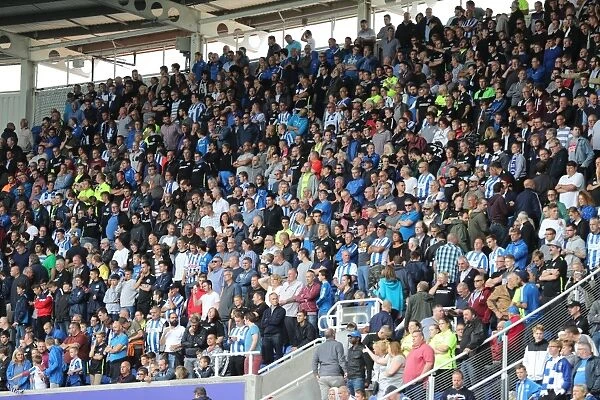 Brighton and Hove Albion Fans in Full Force at the 2016 Reading Championship Match