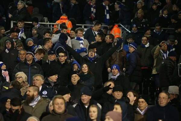 Brighton and Hove Albion Fans Passionate Roar at Fulham Championship Match, December 2014