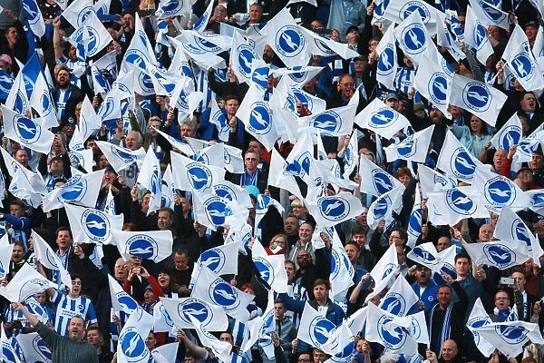 Brighton and Hove Albion Fans Unite: Play-Off Tension at Sky Bet Championship Clash vs. Sheffield Wednesday (16 May 2016)