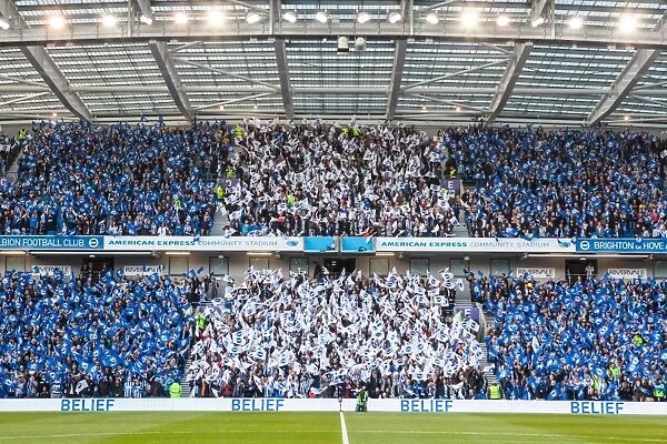 Brighton and Hove Albion Fans Wave Flags in Euphoric Play-Off Atmosphere