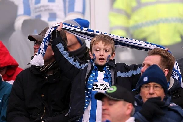 Brighton & Hove Albion FC: Electric Atmosphere at the Amex (2012-2013)