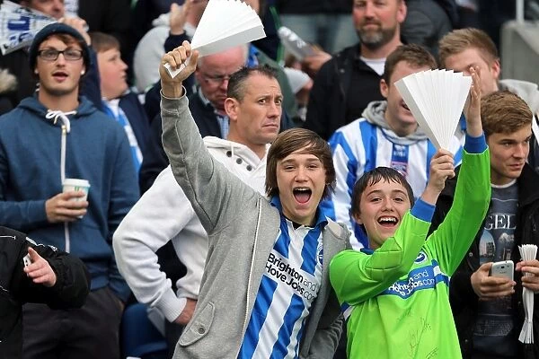 Brighton & Hove Albion FC: The Electric Atmosphere of the Amex Stadium (2012-2013) - Unforgettable Crowd Moments