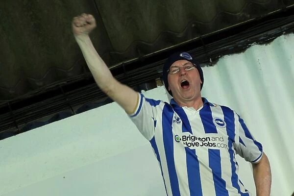 Brighton and Hove Albion FC: Top Moments of Unforgettable Away Days 2012-13