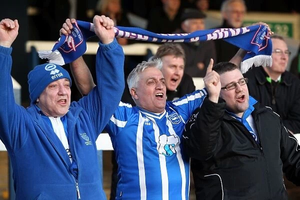 Brighton and Hove Albion FC: A Sea of Supporters - Away Days 2012-13