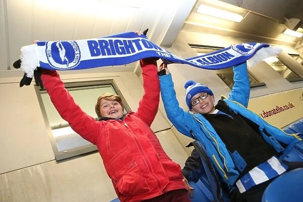 Brighton and Hove Albion FC: Unwavering Fan Support in Sky Bet Championship Match vs. Wigan Athletic (November 2014)