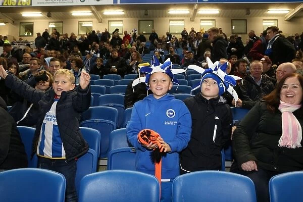 Brighton and Hove Albion FC: Unwavering Fan Support in Sky Bet Championship Clash Against Wigan Athletic (November 2014)