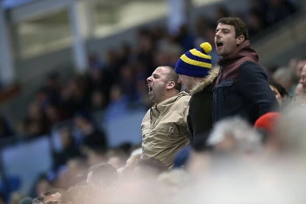 Brighton & Hove Albion FC: Unwavering Fan Support in Sky Bet Championship Clash vs. Wigan Athletic (November 2014)