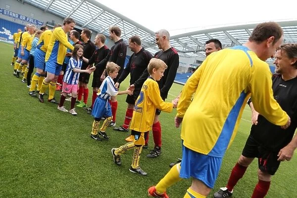 Brighton & Hove Albion: Game 3 - The Pitch Battle (May 2014)