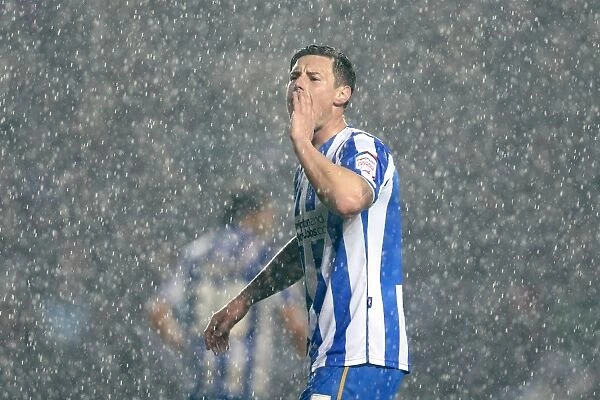 Brighton & Hove Albion: Manager Will Hoskins Shouts Instructions Amidst Downpour vs. Nottingham Forest (December 15, 2012)
