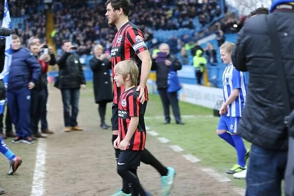 Brighton and Hove Albion Mascot at Sheffield Wednesday's Hillsborough Stadium during Sky Bet Championship Match, 14 February 2015