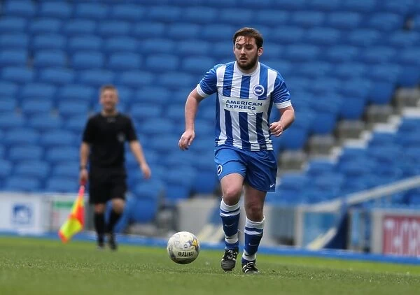 Brighton & Hove Albion: Play on the Pitch - APRIL 2015, American Express Community Stadium