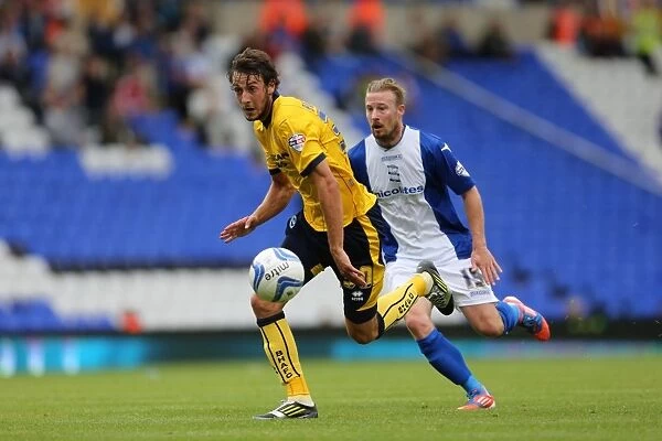 Brighton & Hove Albion vs. Birmingham City: Away Game (August 17, 2013)