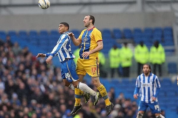 Brighton & Hove Albion vs. Crystal Palace (2012-13 Season): A Home Game Review - March 17, 2013: Crystal Palace Visit