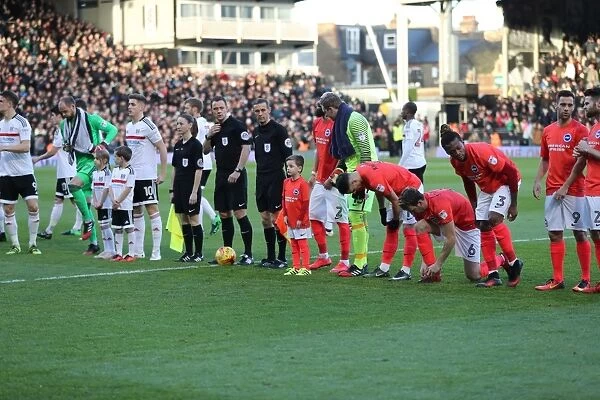 Brighton and Hove Albion vs. Fulham: EFL Sky Bet Championship Showdown at Craven Cottage (02.01.17)