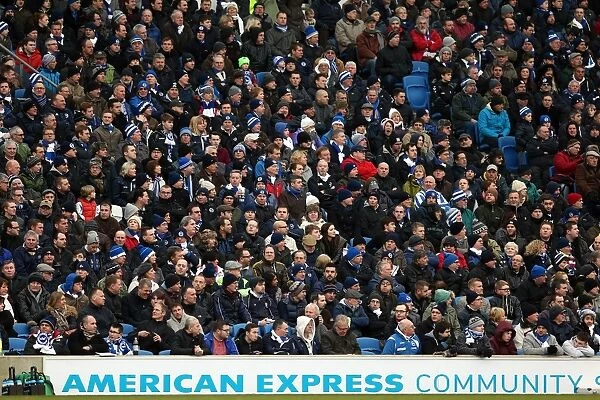 Brighton & Hove Albion vs. Huddersfield Town (02-03-2013): A Glimpse into the 2012-13 Home Season