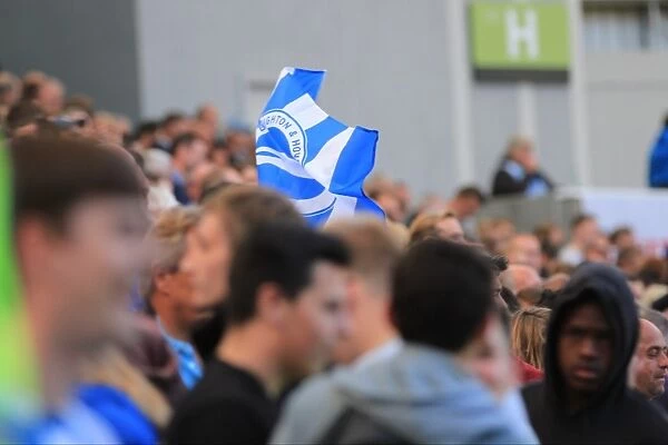 Brighton and Hove Albion vs Hull City: Electric Atmosphere in the Stands during the Sky Bet Championship Match, September 2015