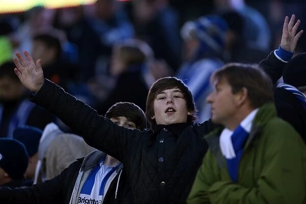 Brighton & Hove Albion vs. Hull City (2012-13): A Nostalgic Look Back at Our Home Game - 9th February 2013