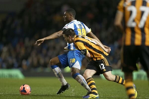 Brighton & Hove Albion vs. Hull City: 2013-14 Season Home Game