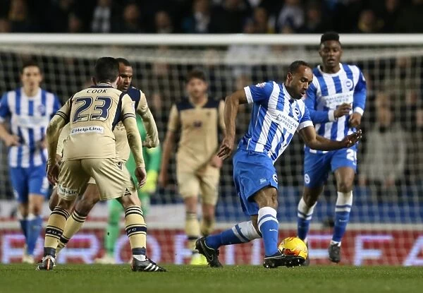 Brighton & Hove Albion vs Leeds United: Chris O'Grady's Action-Packed Performance, 24 February 2015