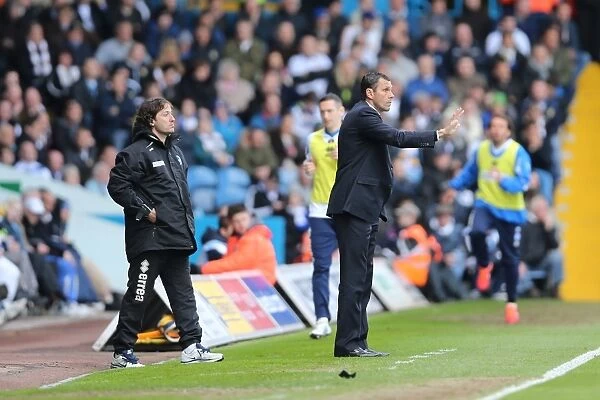 Brighton & Hove Albion vs. Leeds United (Away) - A Past Clash from the 2012-13 Season