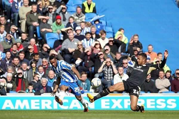 Brighton & Hove Albion vs. Leicester City (2012-13): A Home Game Recap - 6th April 2013