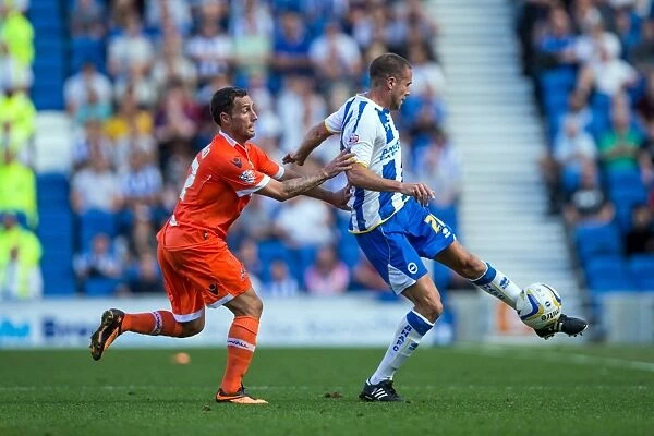 Brighton & Hove Albion vs. Millwall: Home Game - August 31, 2013