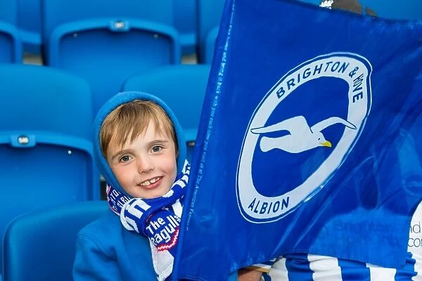 Brighton & Hove Albion vs Newport County AFC: 2013-14 Home Game Highlights (August 6, 2013)
